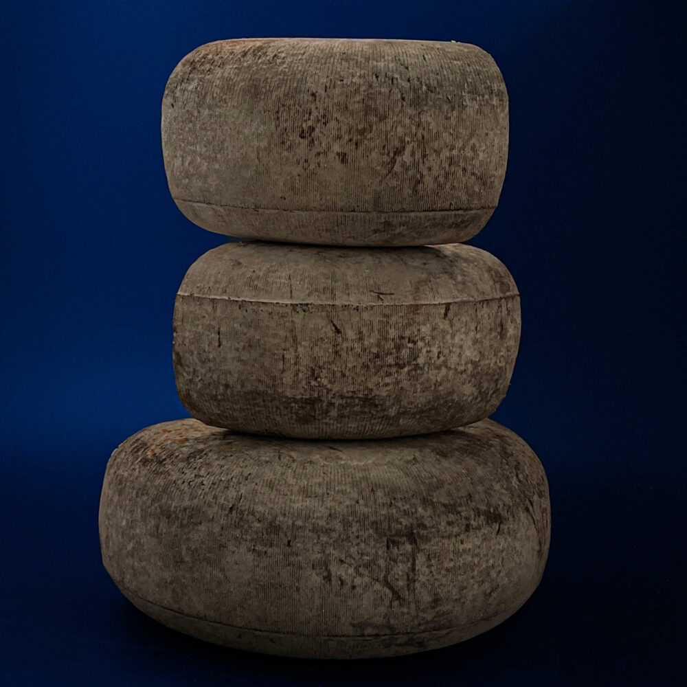 Ser Tomme Grise de Chèvre au bleu