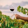 Amarone