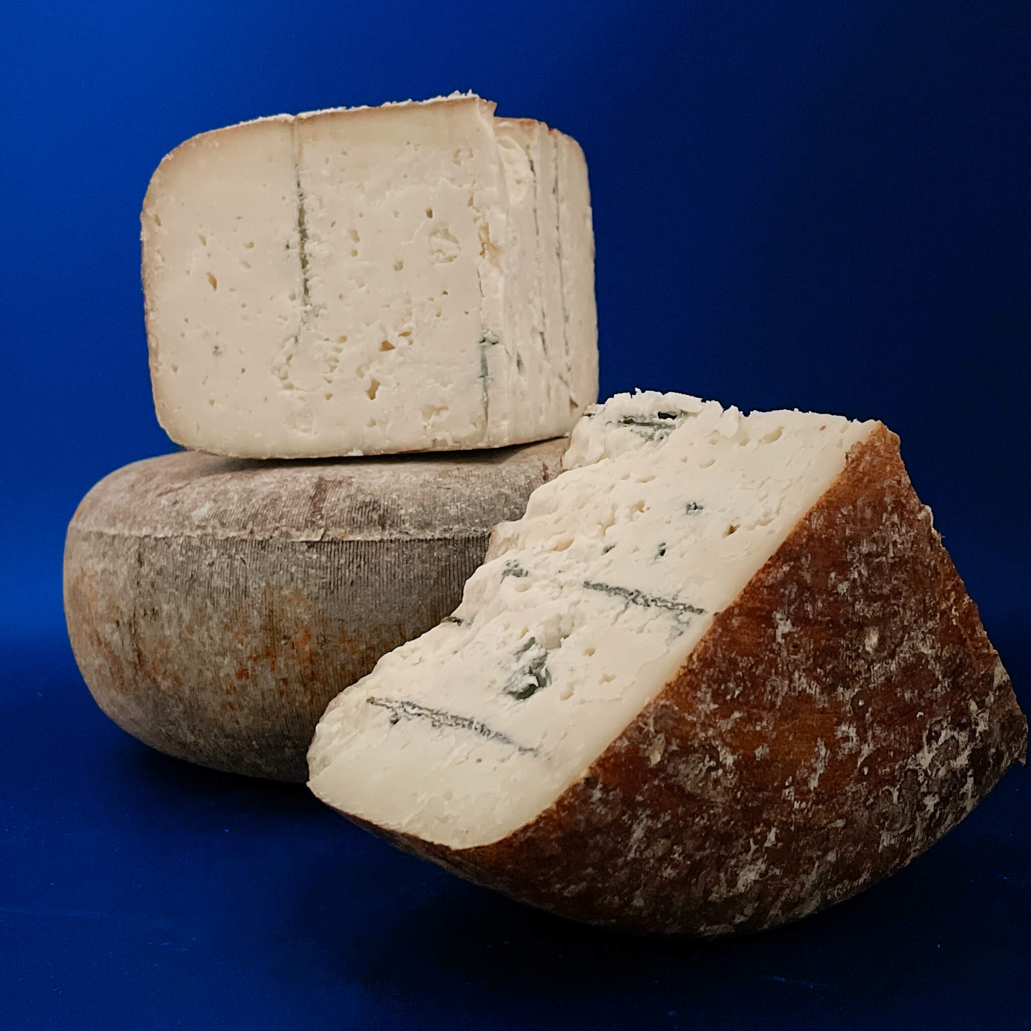 Ser Tomme Grise de Chèvre au bleu