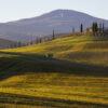 Chianti Colli Senesi BIO DOCG