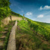Valpolicella