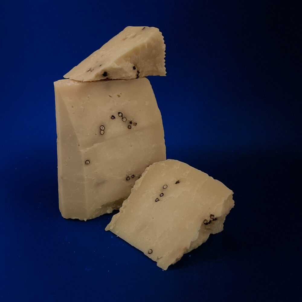 Pecorino Calcagno