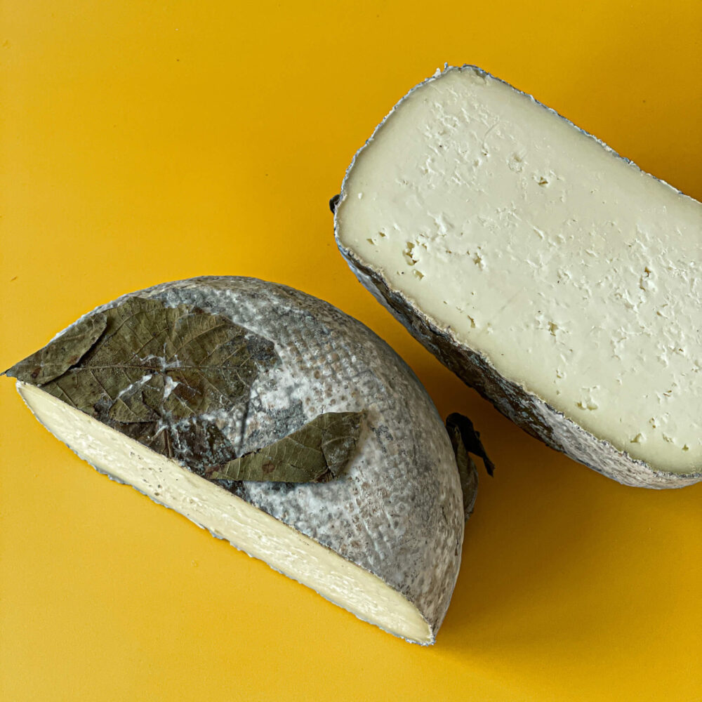 Ser Pecorino dojrzewający pod liśćmi orzecha włoskiego
