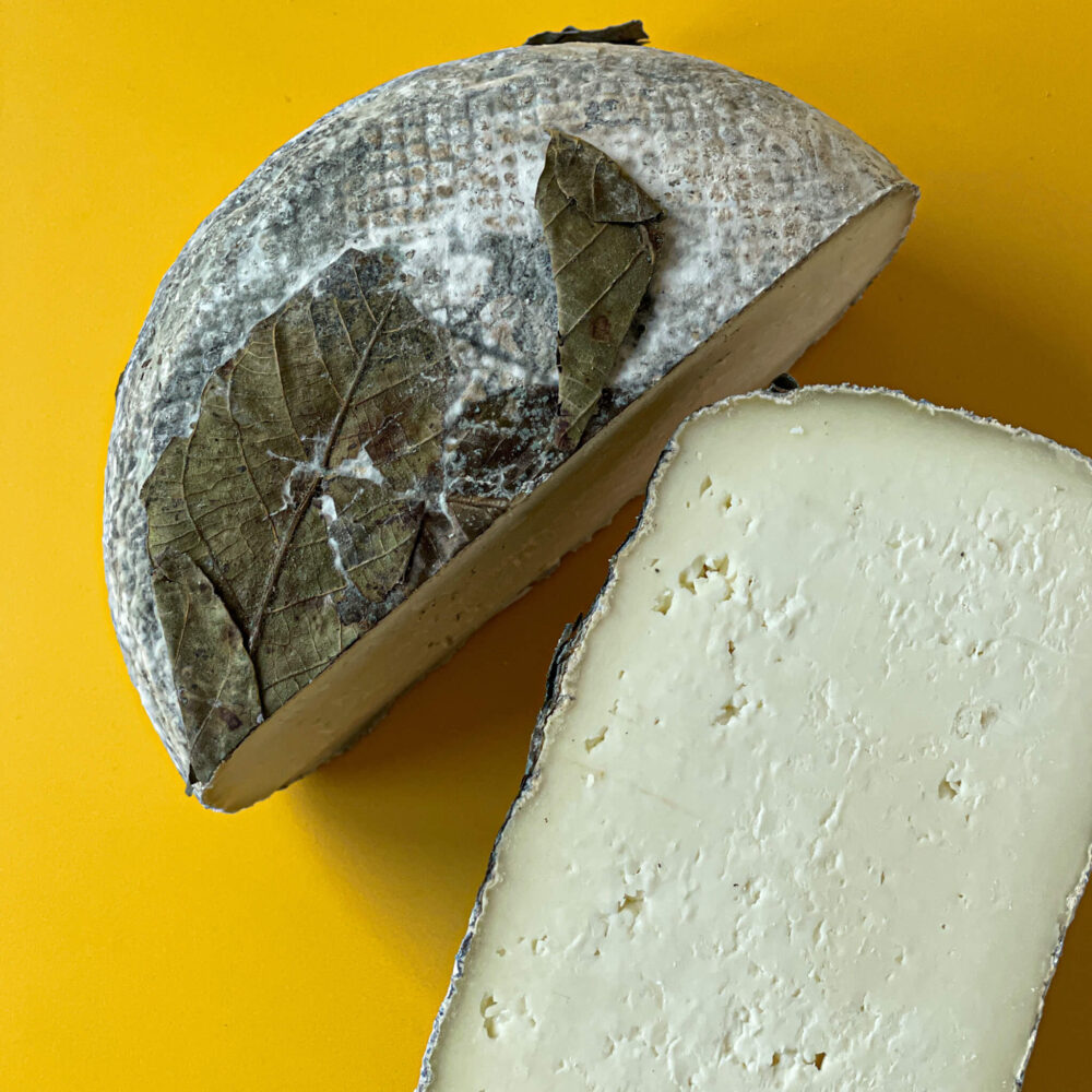 Ser Pecorino dojrzewający pod liśćmi orzecha włoskiego