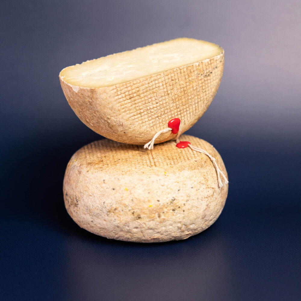 Struktura i tekstura sera Pecorino Toscano stagionato cacio e pere.
