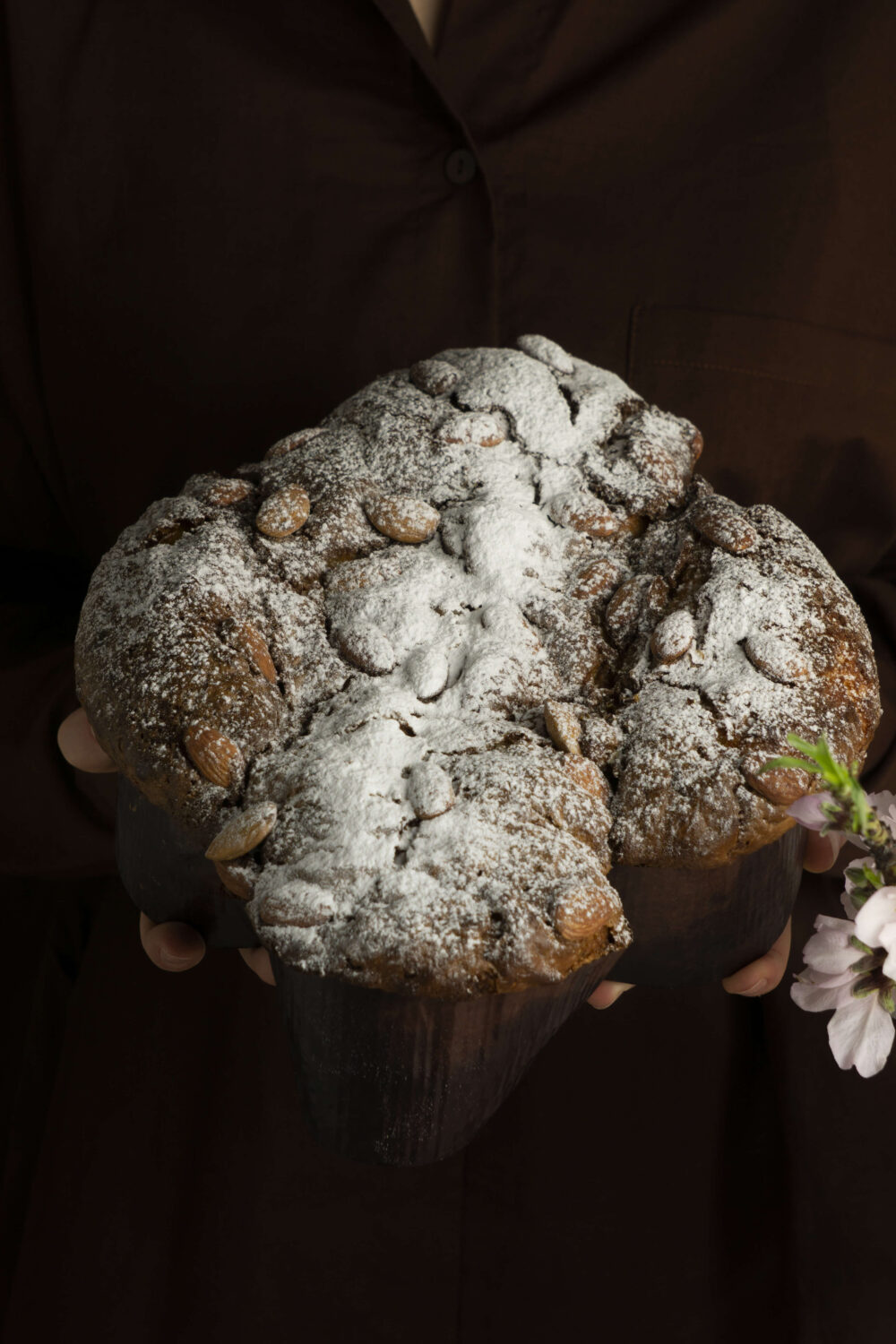 Sycylijskie ciasto wielkanocne Colomba al Cioccolato