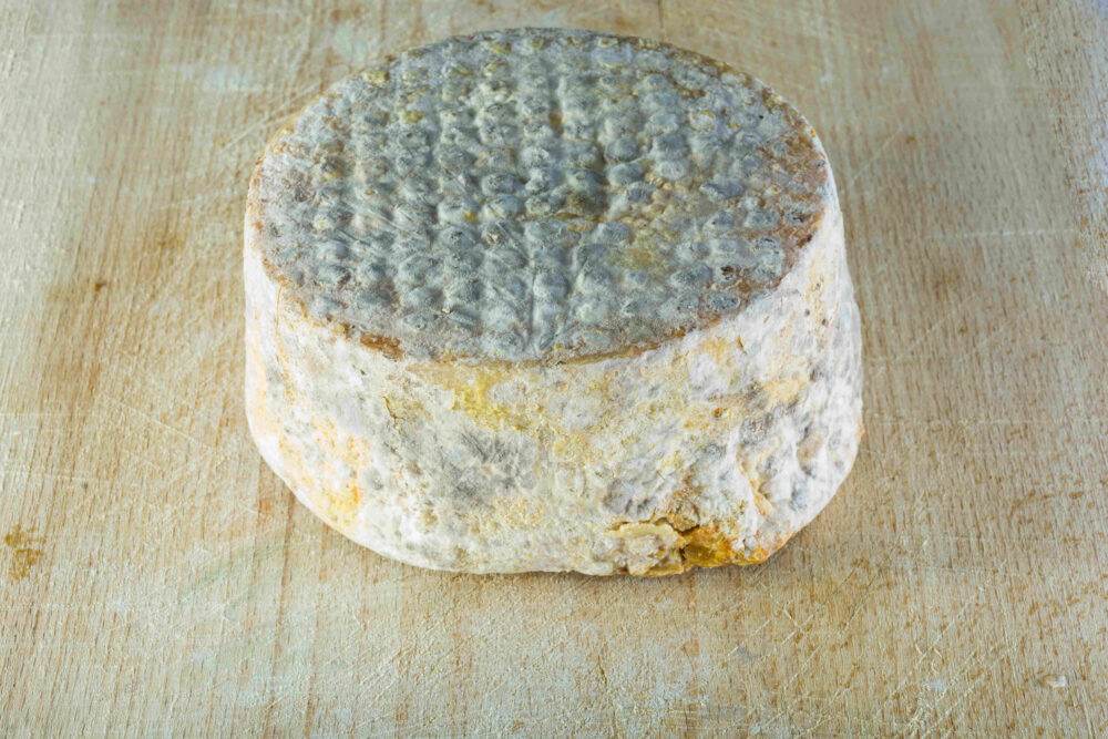 Ser owczy z Korsyki - Tomme de Brebis Antoine Ottavi 